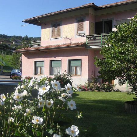B&B Garden Solto Collina Kültér fotó