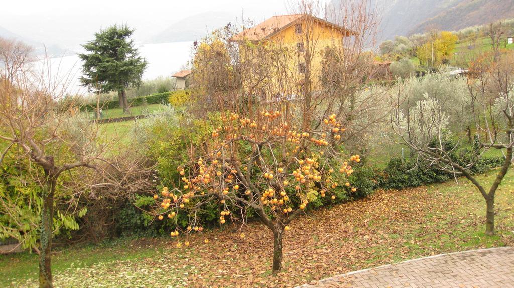B&B Garden Solto Collina Kültér fotó